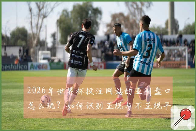 2026年世界杯投注网站的亚洲盘口怎么玩？如何识别正规与不正规平台？