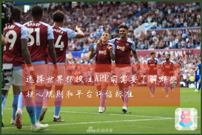 选择世界杯投注APP前需要了解哪些核心规则和平台评估标准