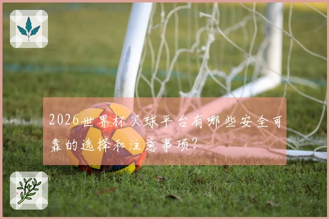 2026世界杯买球平台有哪些安全可靠的选择和注意事项？