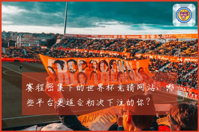 赛程密集下的世界杯竞猜网站，哪些平台更适合初次下注的你？