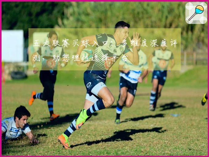 五大联赛买球入口：多维度深度评测，助您理性选择平台