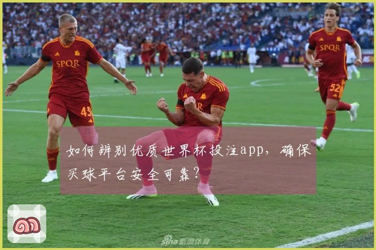 如何辨别优质世界杯投注app，确保买球平台安全可靠？