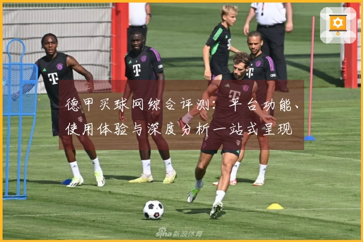 德甲买球网综合评测：平台功能、使用体验与深度分析一站式呈现
