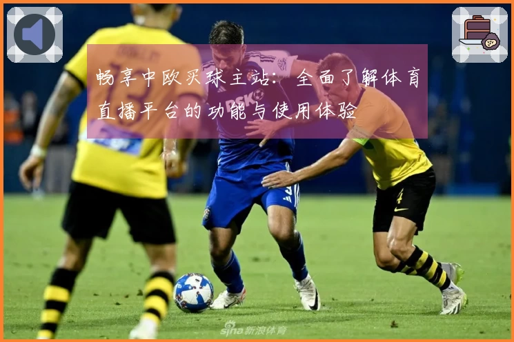 畅享中欧买球主站：全面了解体育直播平台的功能与使用体验